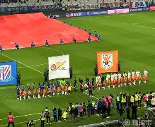 龙8官网-赛后上海申花手感冰凉：亚冠节点到来，底气十足，赛季目标并未改变